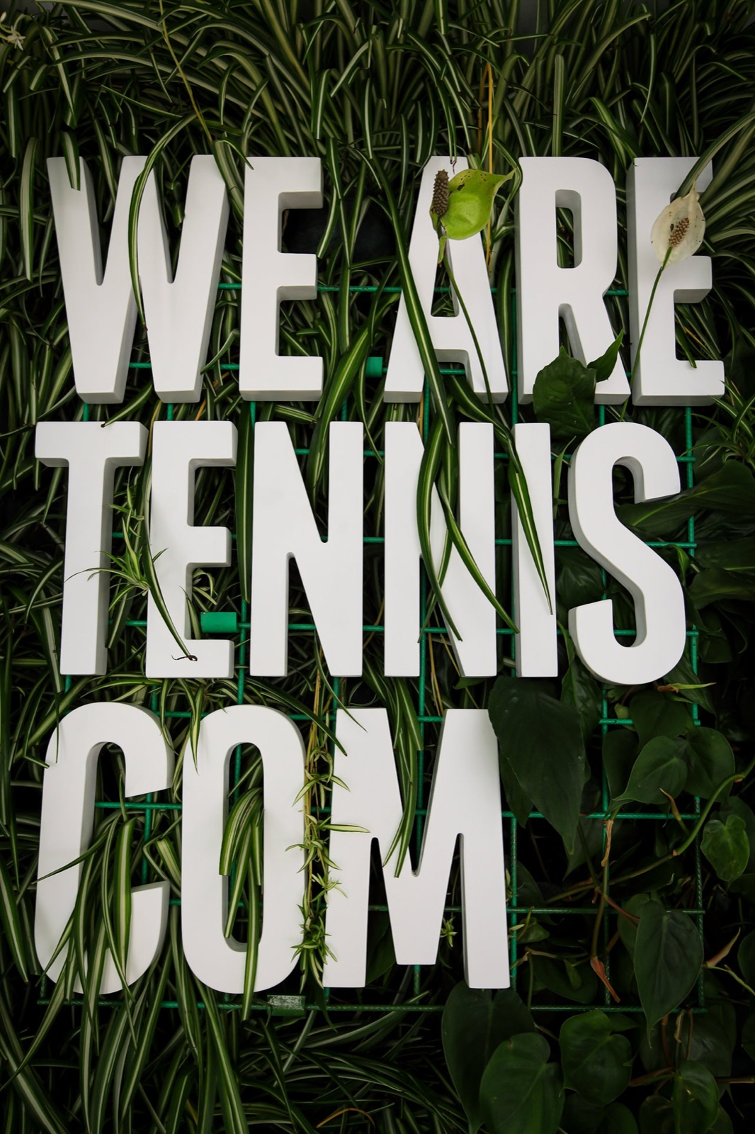 BNL internazionali tennis