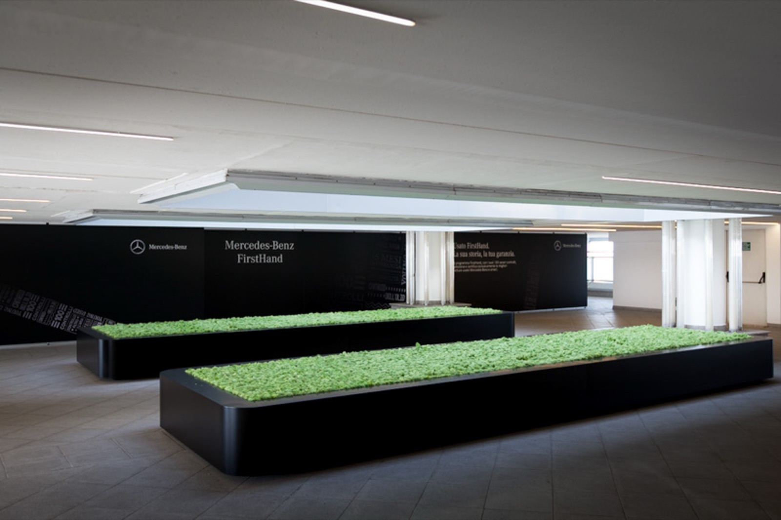 Concessionario Mercedes Benz - Roma